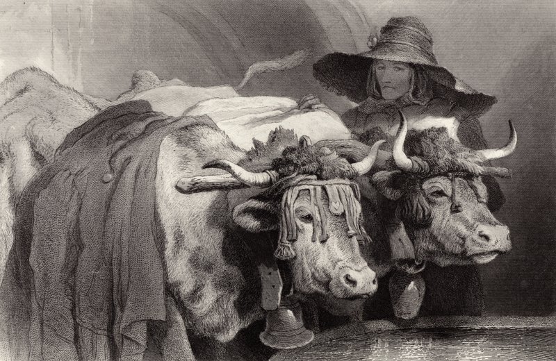 Oxar vid tanken, Genève, Schweiz av Edwin Landseer
