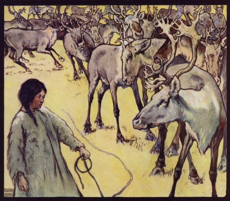 En lappflicka med renflock (färg litho) av Edwin Noble