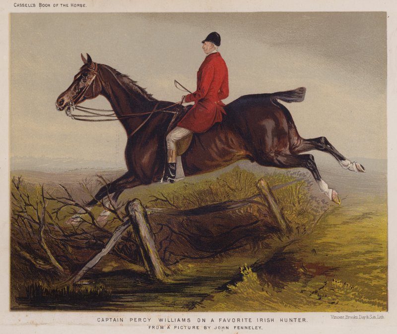 Kapten Percy Williams på en favorit irländsk jägare (färg litho) av Edwin Noble