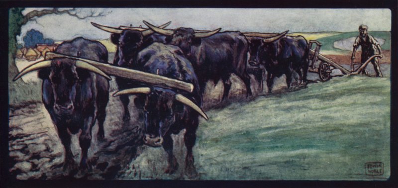 Oxar som plöjer på Sussex Downs (färg litho) av Edwin Noble