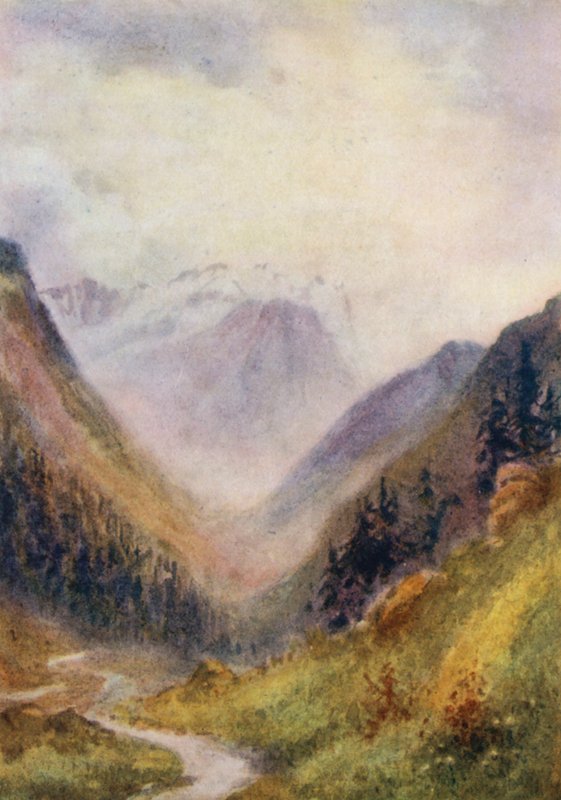Schweiz av Effie Jardine