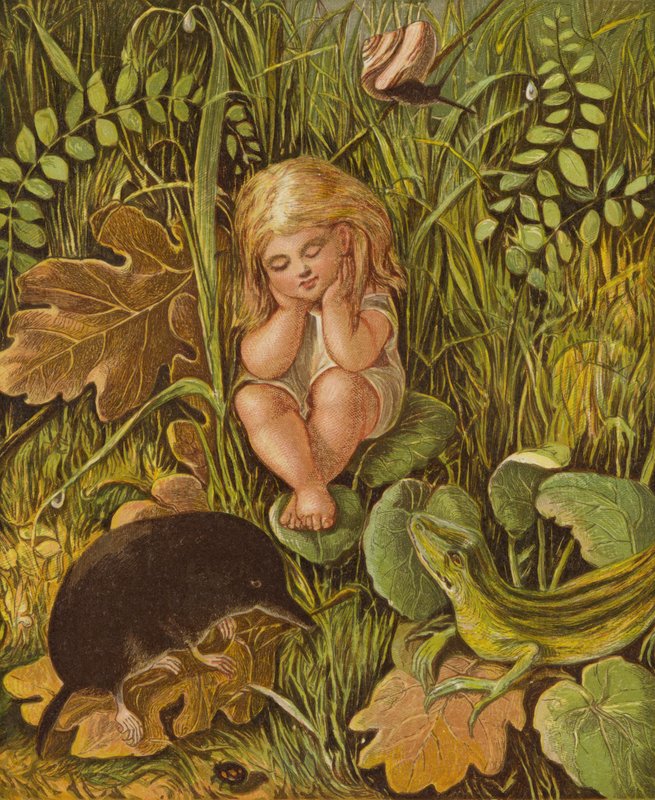 De två onda tungorna (färg litho) av Eleanor Fortescue Brickdale