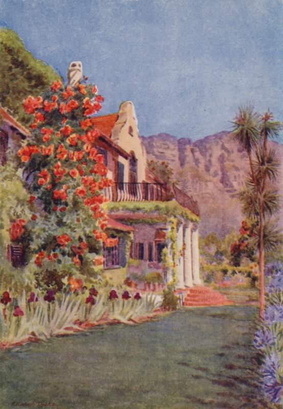 Bignonia grandiflora vid Paradise, Claremont (färglitografi) av Elizabeth Drake