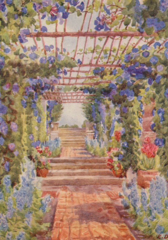 Pergola täckt med blå Ipomoea Learii de Grendel, Tygerberg (färglitografi) av Elizabeth Drake