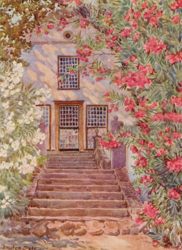 Rosa och vita oleandrar, Alphen, Wynberg (färglitografi) av Elizabeth Drake