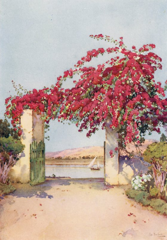 En trädgård i Luxor (färg litho) av Ella Du Cane