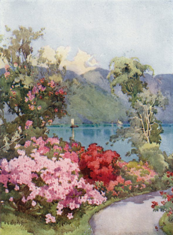 Azaleor, Comosjön (färg litho) av Ella Du Cane