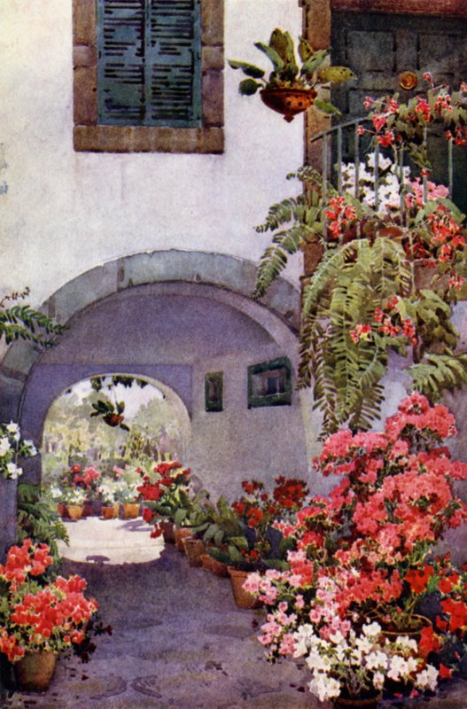 Azaleor i en portugisisk trädgård (färg litho) av Ella Du Cane