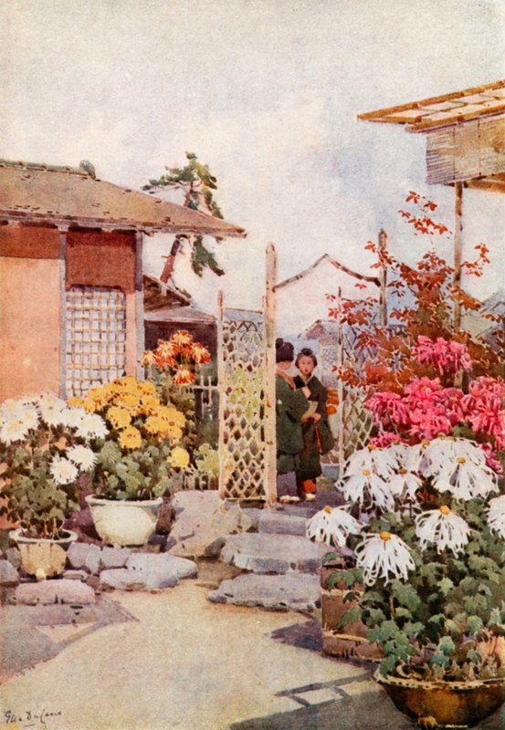 Krysantemum, Kyoto (färg litho) av Ella Du Cane