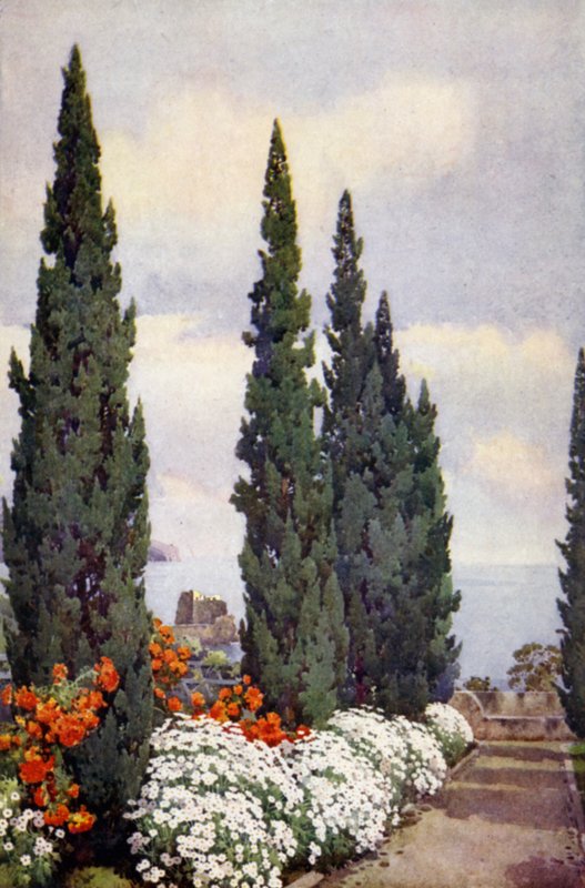 Cypress Avenue, Quinta Stanford (färg litho) av Ella Du Cane