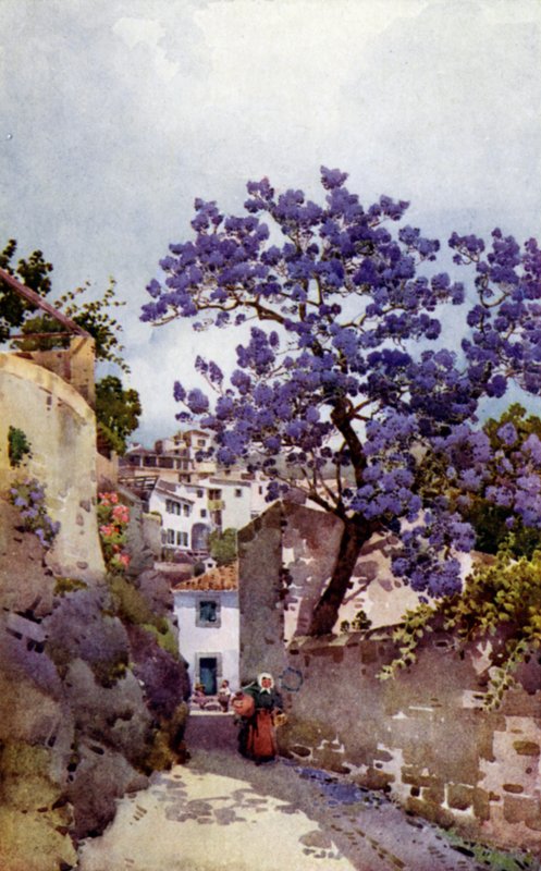 Jacaranda Tree (färg litho) av Ella Du Cane