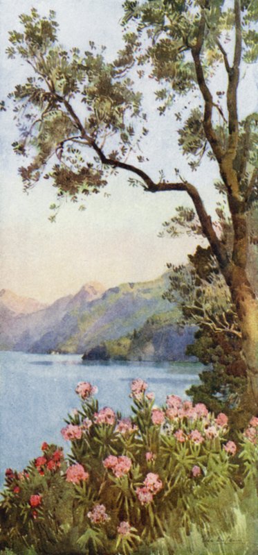 Lake Lecco, Comosjön (färg litho) av Ella Du Cane