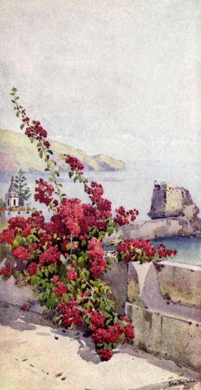 Loo Rock, Funchal (färg litho) av Ella Du Cane