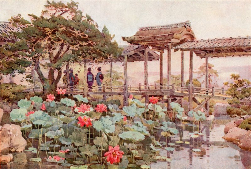 Lotus at Kodaiji (färg litho) av Ella Du Cane