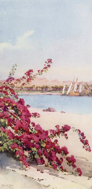 Berg norr om Assuan från en trädgård på Elephantine Island (färg litho) av Ella Du Cane