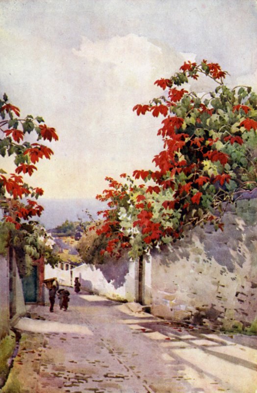 Julstjärna på Mount Road (färg litho) av Ella Du Cane