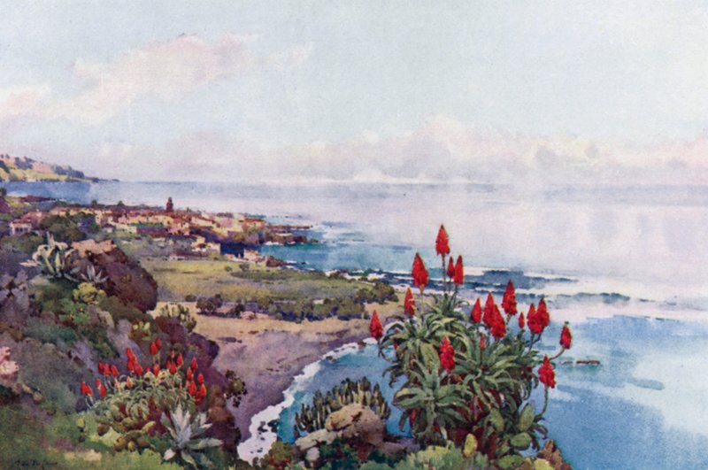 Puerto Orotava (färgmedlemmar) av Ella Du Cane