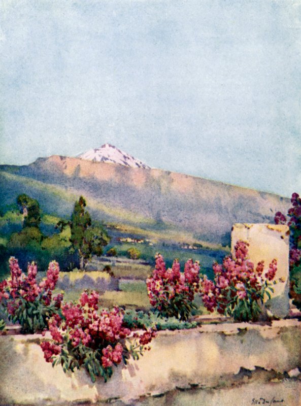 The Peak, från Villa Orotava (färg litho) av Ella Du Cane
