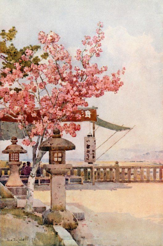 The Pink Cherry (färg litho) av Ella Du Cane