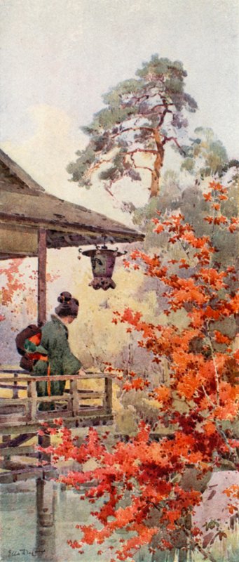 Titta på lönnarna (färg litho) av Ella Du Cane