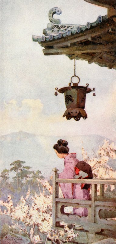 Titta på plommonblommor (färg litho) av Ella Du Cane