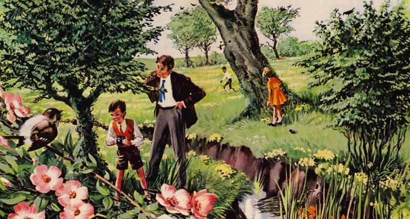Fåglar och deras bon av English School