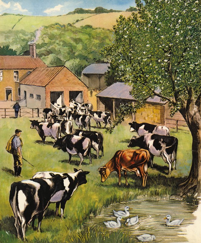 Dairy farm, England, 1960-talet av English School