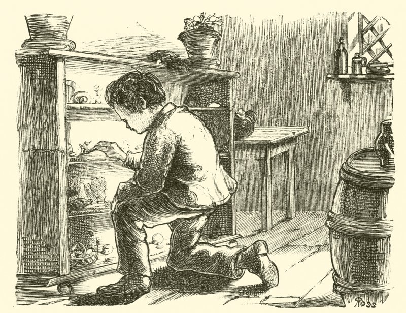 Edward Forbes, arrangerar sitt miniatyrmuseum av English School