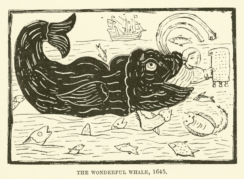 Den underbara valen, 1645 av English School