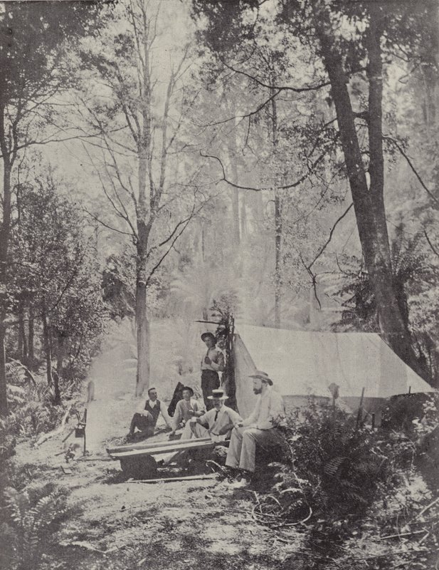 Ett Bush Camp, Tasmanien av English Photographer