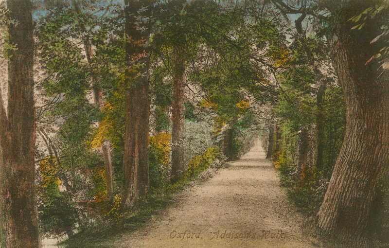 Addisons Walk, Oxford. Vykort skickat 1913. av English Photographer