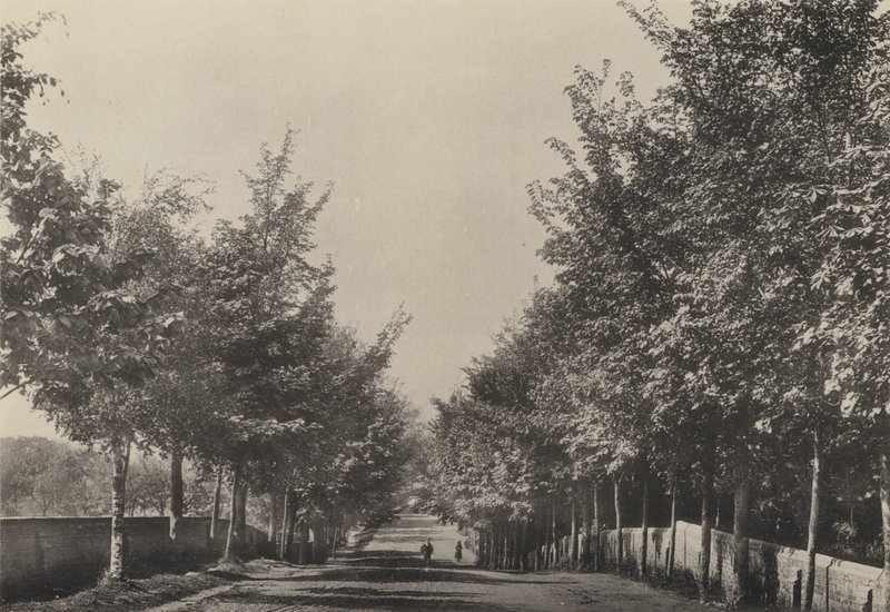 Aldeburgh, Westfields Avenue (s/v foto) av English Photographer
