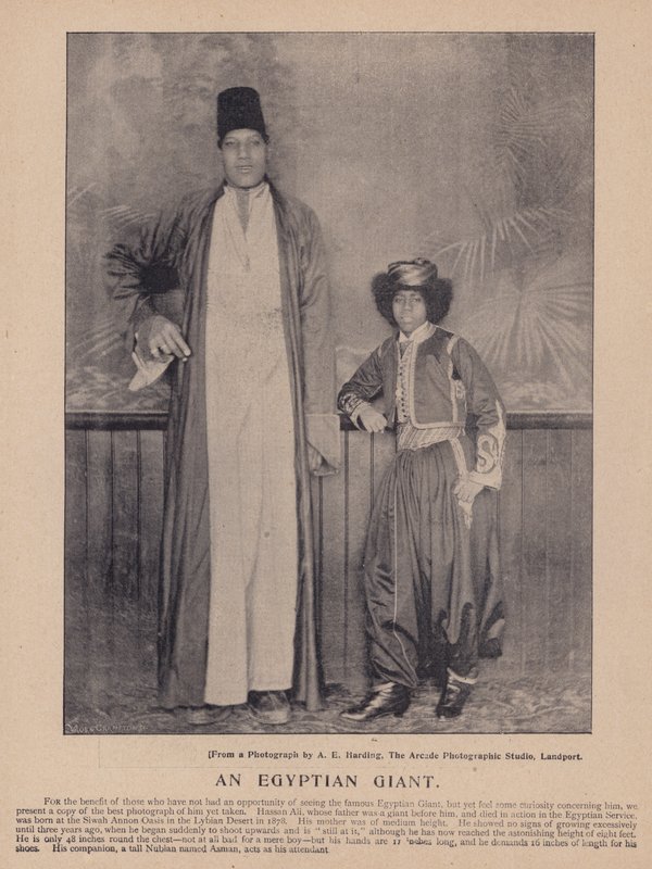 En egyptisk jätte (s/v foto) av English Photographer