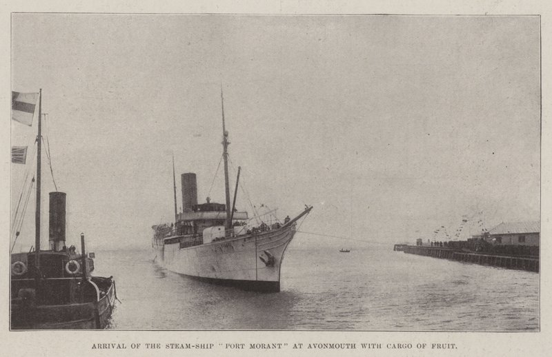 Ankomst av Steam-Ship Port Morant till Avonmouth med last av frukt av English Photographer