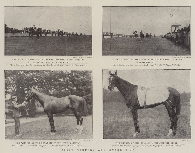 Ascot-vinnare och tvåa av English Photographer