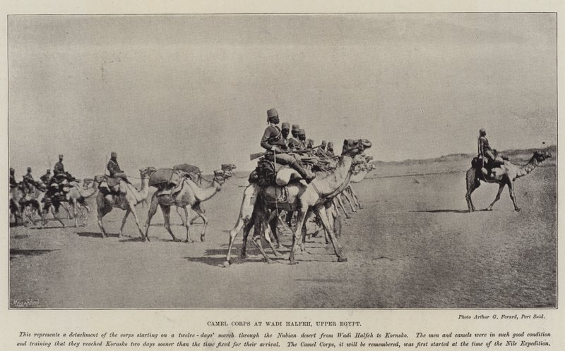 Kamelkåren vid Wadi Halfeh, övre Egypten av English Photographer