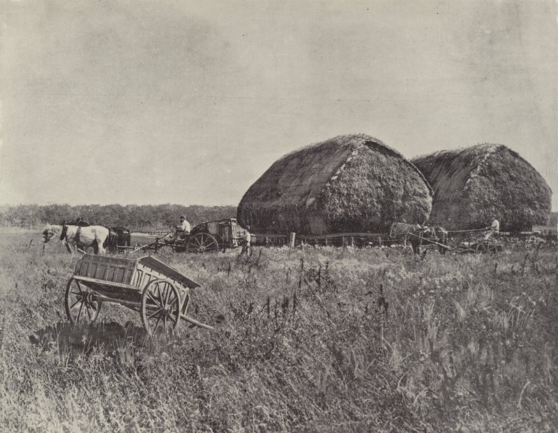 Canning Downs Station av English Photographer