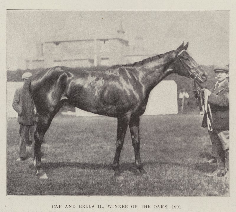 Cap and Bells II, vinnare av ekarna, 1901 av English Photographer