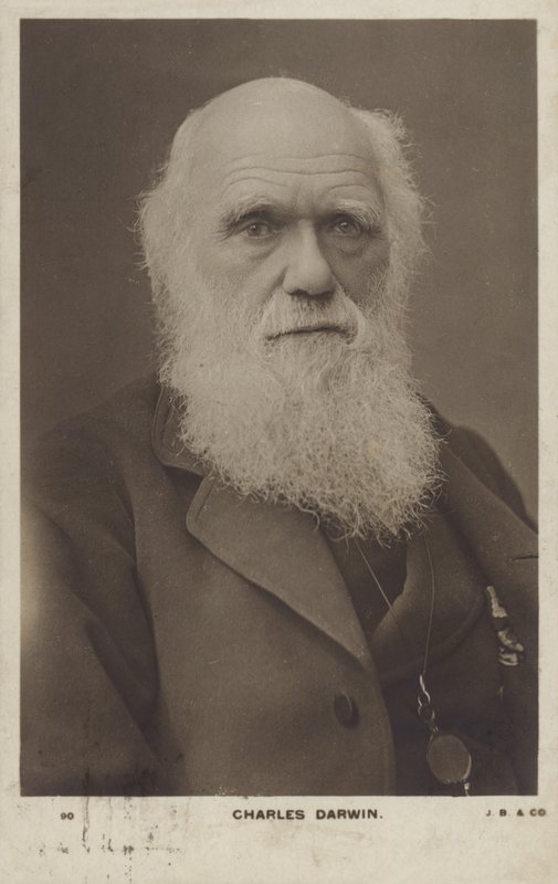 Charles Darwin (1809-1882), engelsk naturforskare av English Photographer