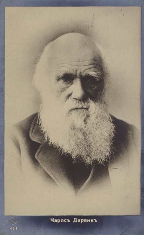 Charles Darwin (1809-1882), engelsk naturforskare av English Photographer