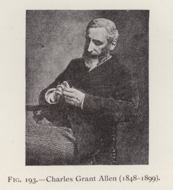 Charles Grant Allen (1848-1899), porträtt (s/v foto) av English Photographer