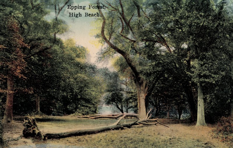 Epping Forest, High Beach (foto) av English Photographer