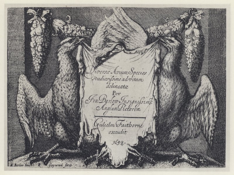 F Barlow, Diversae avium species, G Faithorne 1658 (s/v foto) av English Photographer