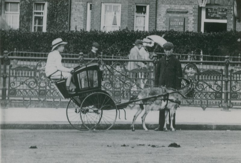Getdragen transport av English Photographer