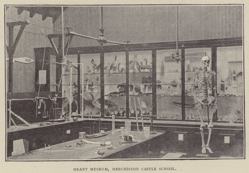 Grant Museum, Merchiston Castle School (gravyr) av English Photographer