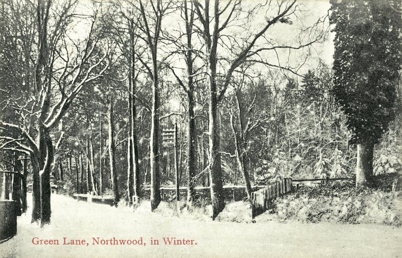 Green Lane, Northwood (svart/vitt foto) av English Photographer