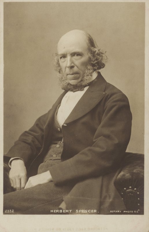 Herbert Spencer (1820-1903), engelsk filosof, politisk teoretiker, biolog och sociolog av English Photographer