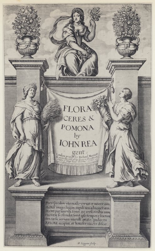J Rea, Flora, Ceres och Pomona, R Marriott 1665 (s/v foto) av English Photographer