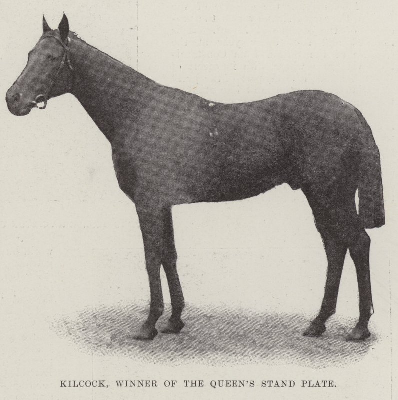 Kilcock, vinnare av Queens Stand Plate av English Photographer