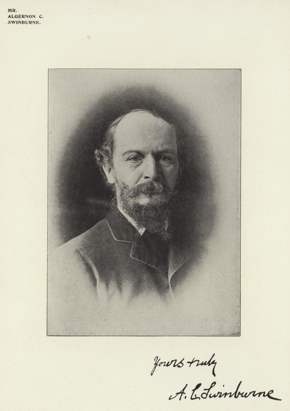 Herr Algernon C Swinburne av English Photographer